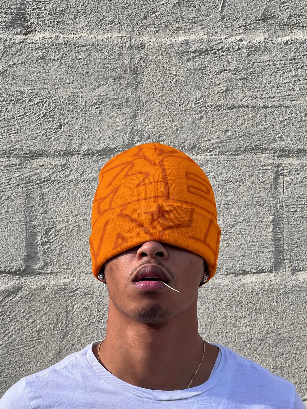 Echoed Skullcap Beanie